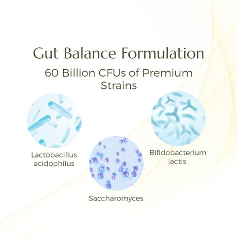 Probiotic & Prebiotic Blend