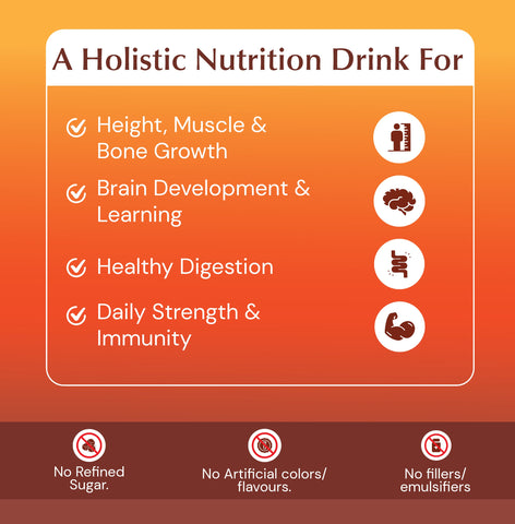 HolistIQ - Nutrition Drink (Chocolate Flavour)