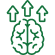 Brain Development