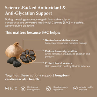 Aged Black Garlic