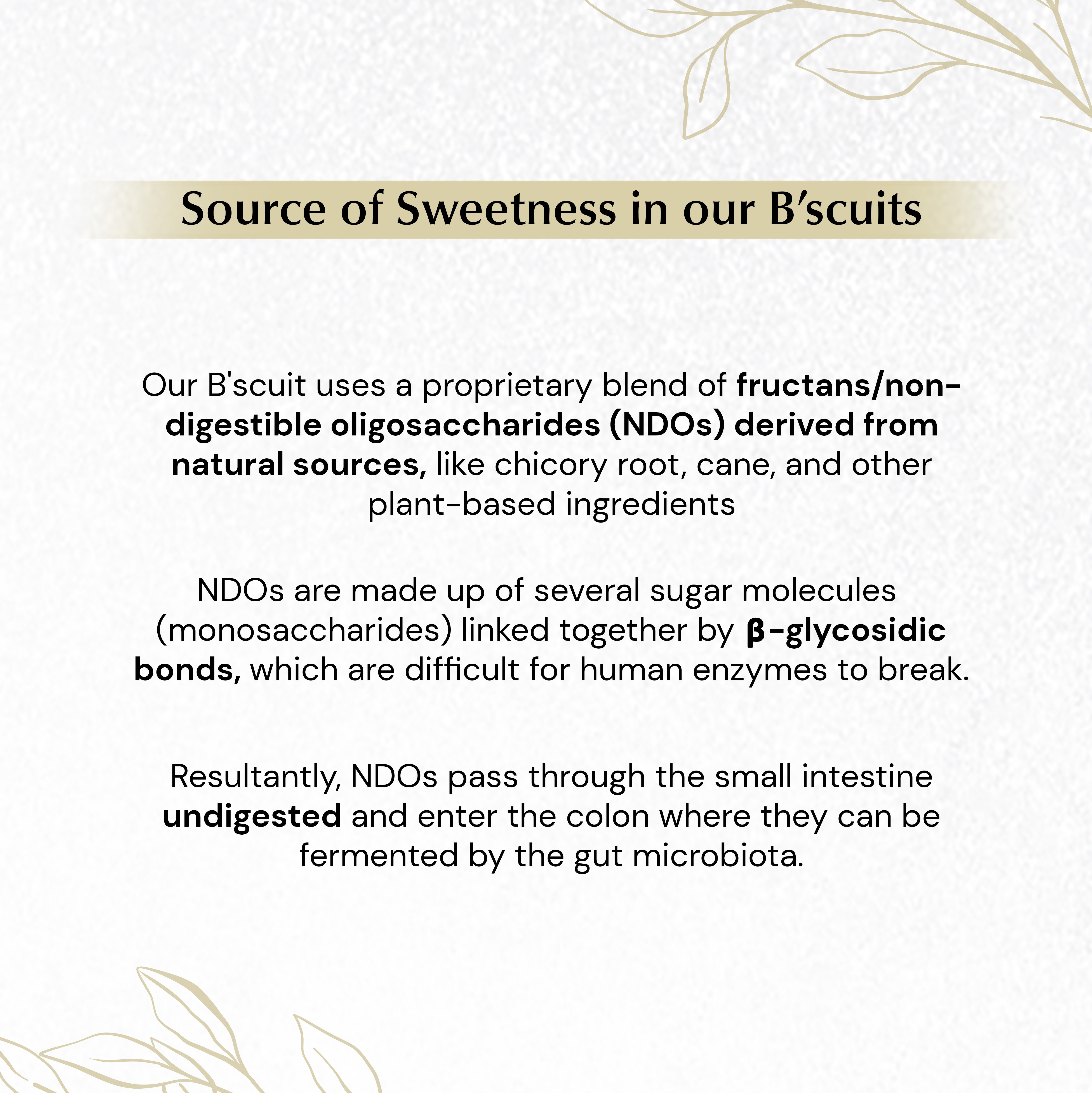 No Spike - Sweet Cookies